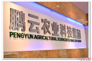探訪鵬云農(nóng)業(yè)科技集團(tuán)生態(tài)園 雪鵬科技引領(lǐng)智慧農(nóng)業(yè)新未來